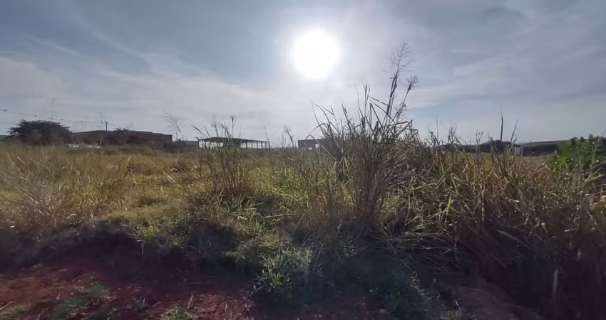 Terreno comercial para alugar no Comendador Mário Dedini, Piracicaba 