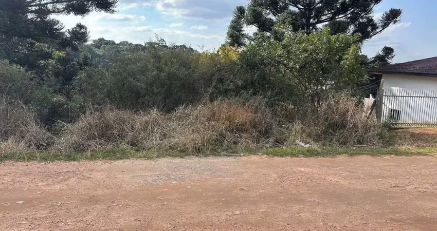 Terreno à venda, 1208 m² por r$ 550.000 - vila nova - quitandinha/pr