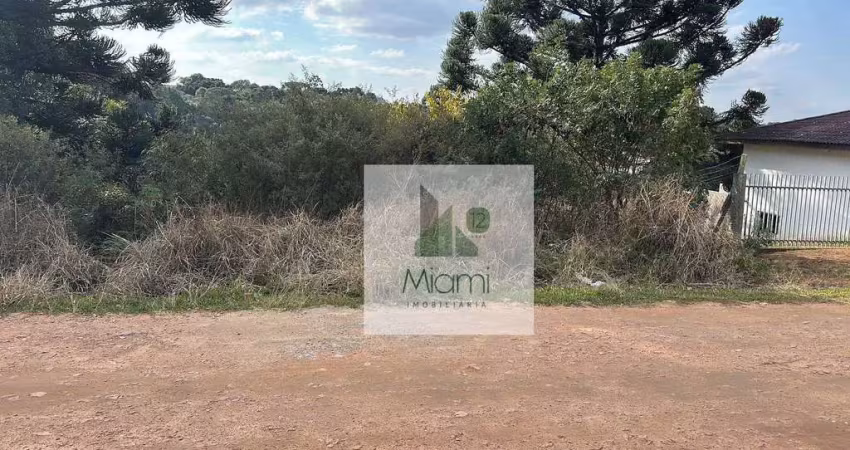 Terreno à venda, 1208 m² por r$ 550.000 - vila nova - quitandinha/pr