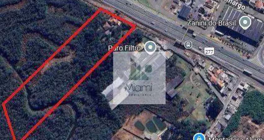 Terreno à venda, 13654 m² por r$ 2.500.000,00 - roseira - são josé dos pinhais/pr
