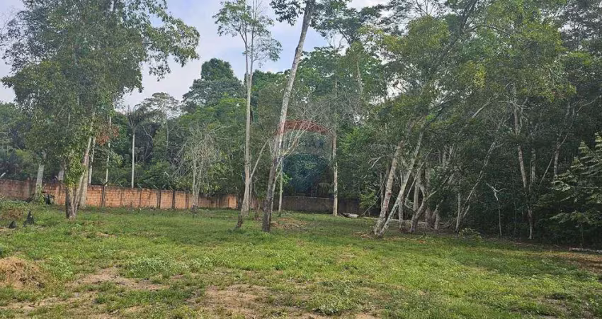 Terreno exclusivo 21.383m²  localizado no bairro tarumã  próximo ao igarapé do mariano: oportunidade única!