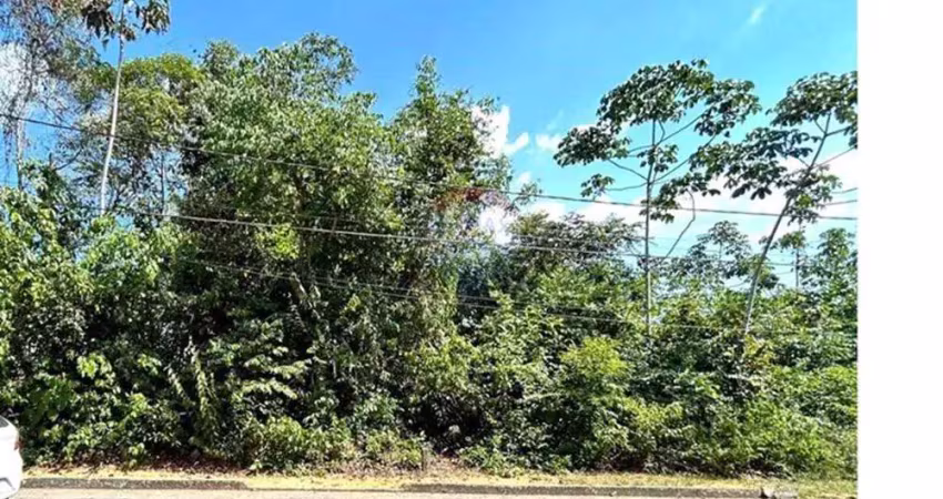 Terreno à venda na Avenida do Cetur, 1731, Tarumã, Manaus
