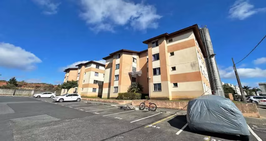 Apartamento com 2 quartos para alugar na Rua Pedro Plantes dos Anjos, 200, Colônia Rio Grande, São José dos Pinhais