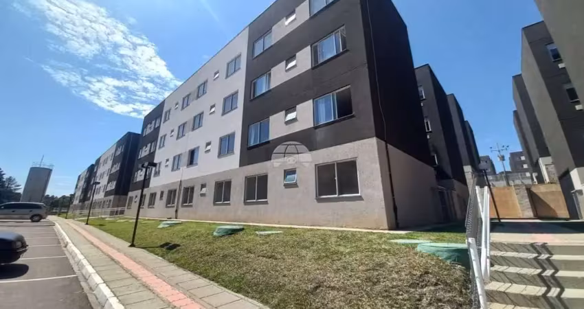 Apartamento com 2 quartos para alugar na Estrada dos Expedicionários, 1145, Bom Jesus, Campo Largo