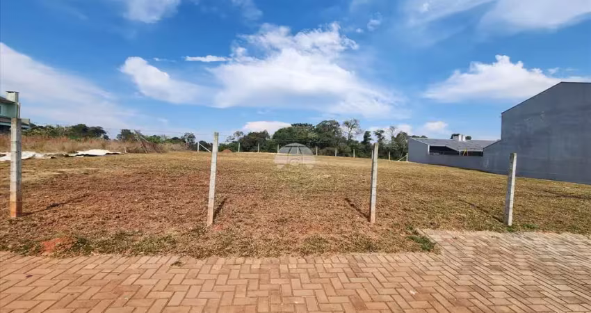 Terreno comercial para alugar na Rua Antônio Bizetto, 30, Vila Ferrari, Campo Largo