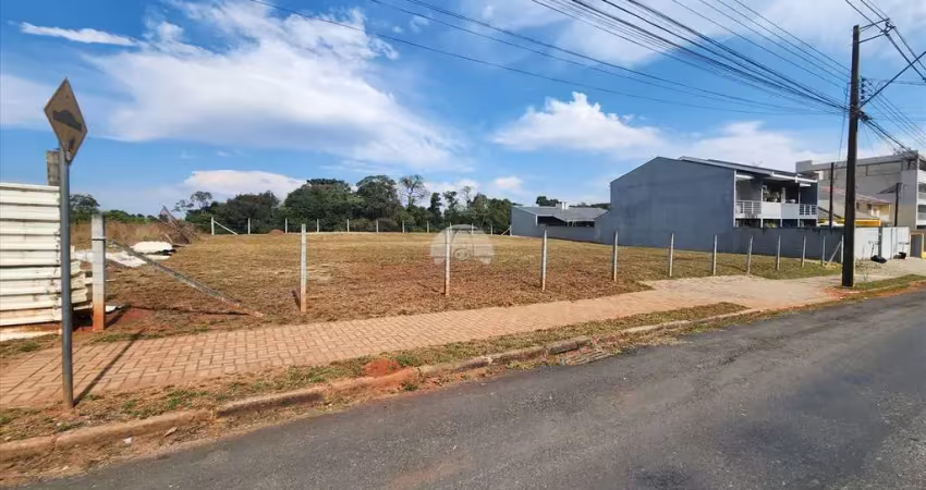 Terreno comercial para alugar na Rua Antônio Bizetto, 46, Vila Ferrari, Campo Largo