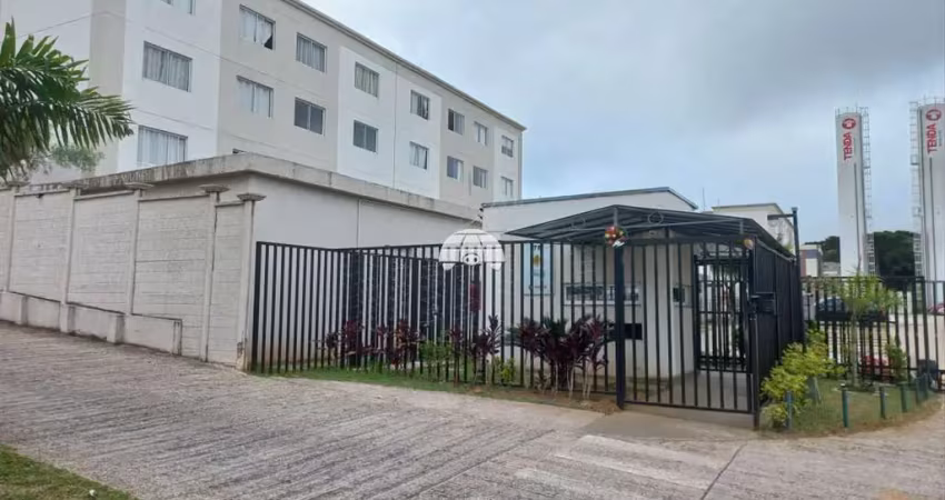 Apartamento com 2 quartos para alugar na Rua Hugo Zen, 78, Colônia Rio Grande, São José dos Pinhais