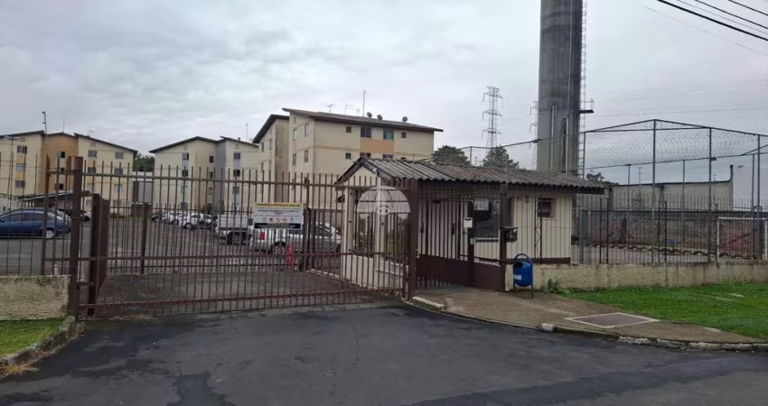 Apartamento com 2 quartos para alugar na Rua José Dolcídio Paris, 70, Afonso Pena, São José dos Pinhais
