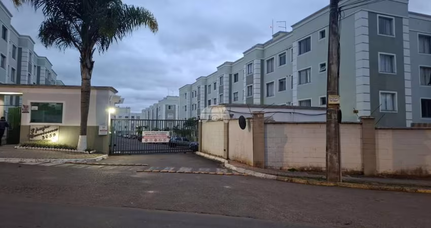 Apartamento com 2 quartos para alugar na Rua Barão do Cerro Azul, 3059, Bom Jesus, São José dos Pinhais