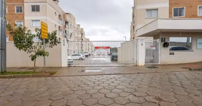Apartamento com 2 quartos para alugar na Rua Virgínio Palu, 122, Braga, São José dos Pinhais