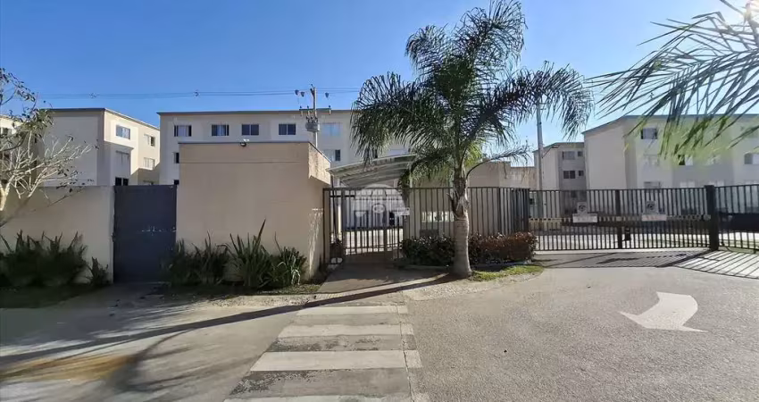 Apartamento com 2 quartos para alugar na Rua José Gomes de Almeida, 80, Zaniolo, São José dos Pinhais