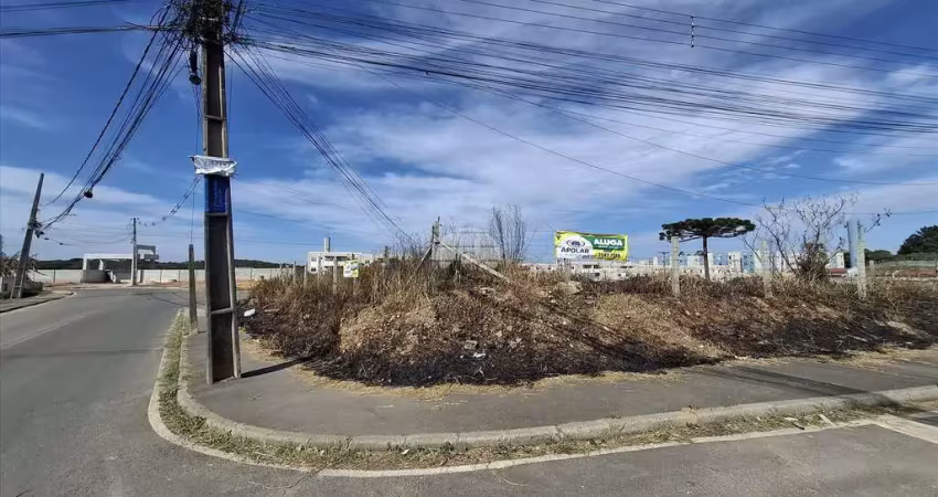Terreno comercial para alugar na Rua Anália Mendes dos Santos, 1, Jardim Campo Verde, Almirante Tamandaré