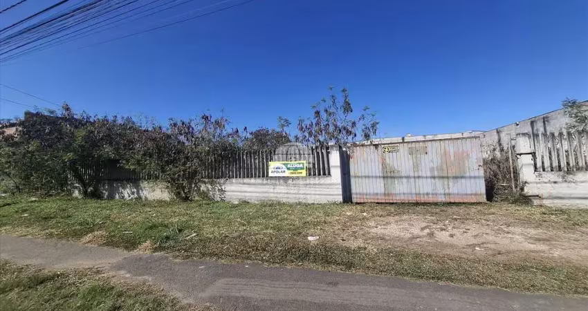 Terreno comercial para alugar na Rua Manoel Pires Pereira, 340, Costeira, São José dos Pinhais