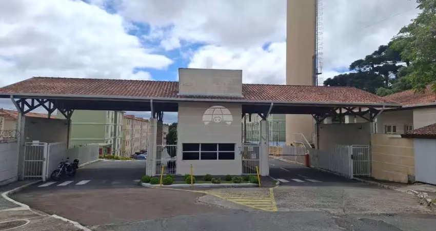 Apartamento com 2 quartos para alugar na Rua Francisco Toczek, 300, Afonso Pena, São José dos Pinhais
