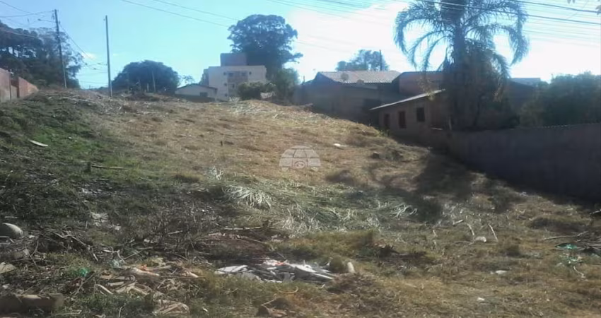 Terreno comercial para alugar na Rua Ataulfo Alves, Jardim Quitandinha, Colombo