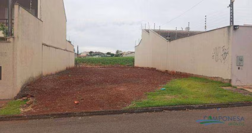 Terreno à venda, 250 m² por R$ 320.000,00 - Parque Residencial João Piza - Londrina/PR