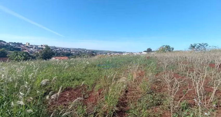 Chácara à venda, 1750 m² por r$ 185.000,00 - zona rural - assaí/pr