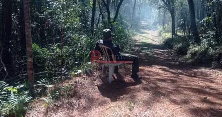 Chácara / sítio à venda na PR 090, Três Córregos, Campo Largo