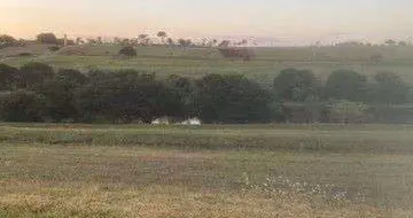 Terreno à venda, 2300 m² por r$ 550.000,00 - rodovia - sertanópolis/pr