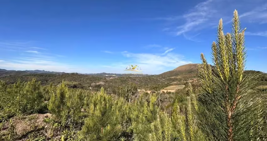 Chácara / sítio com 1 quarto à venda na Estrada Rural, 1, Centro, Campo Magro