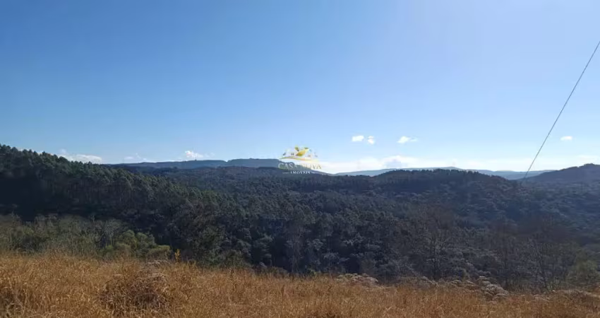 Chácara / sítio com 1 quarto à venda na Estrada Itambezinho, 4, São João do Povinho, Campo Largo