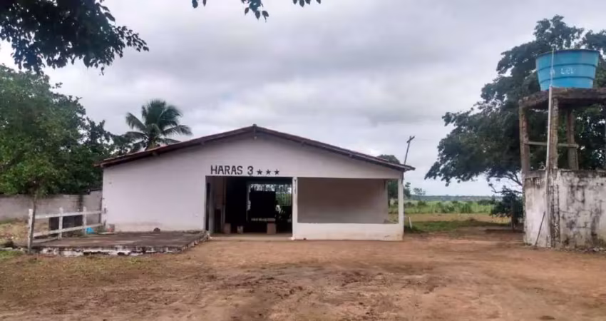 Chácara com 3 dormitórios à venda, 91476 m² por r$ 980.000 - asa branca - feira de santana/ba