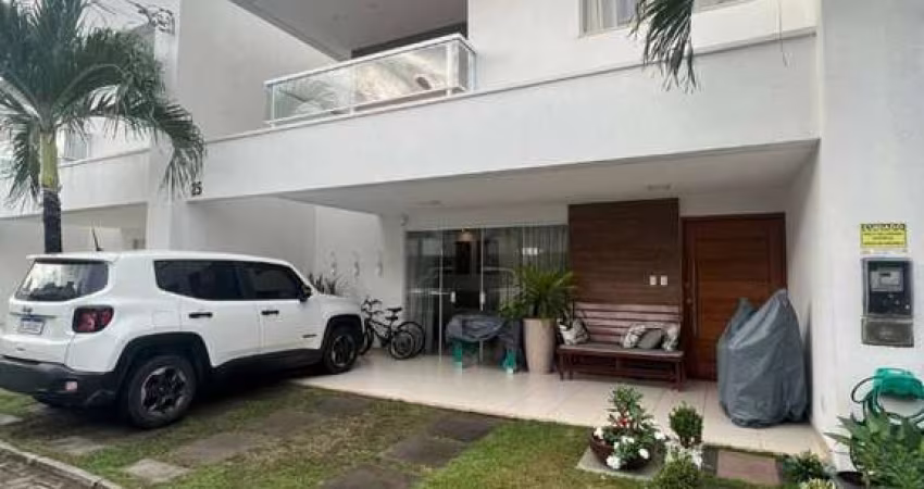 Sua Nova Vida Começa Aqui: Encante-se com o Buraquinho!