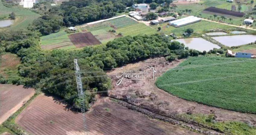 Área à venda, 107690 m² por R$ 3.500.000,00 - Cachoeira - São José dos Pinhais/PR