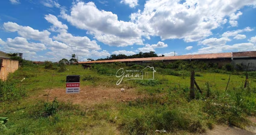 Terreno à venda, 6050 m² por R$ 2.200.000,00 - Campo Largo da Roseira - São José dos Pinhais/PR