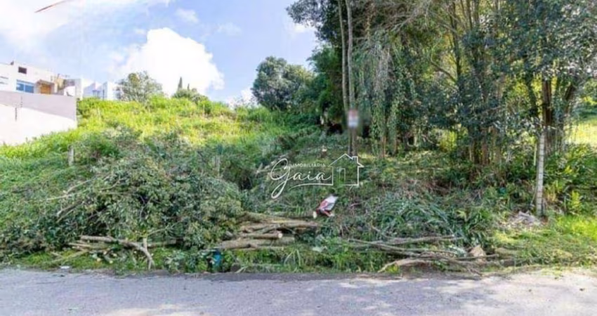Terreno à venda, 412 m² por R$ 390.000,00 - Mossunguê - Curitiba/PR