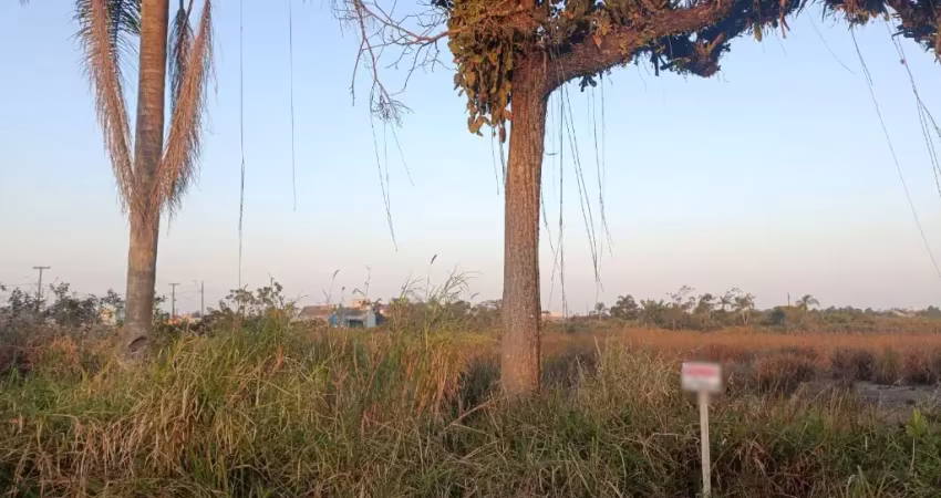Terreno em baln das palmeiras - coroados  - barra do saí