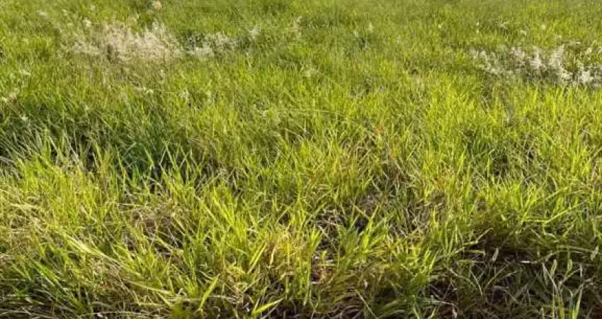 Terreno à venda no Centro de Cravinhos-SP com 160m² de área! Aproveite essa oportunidade única!