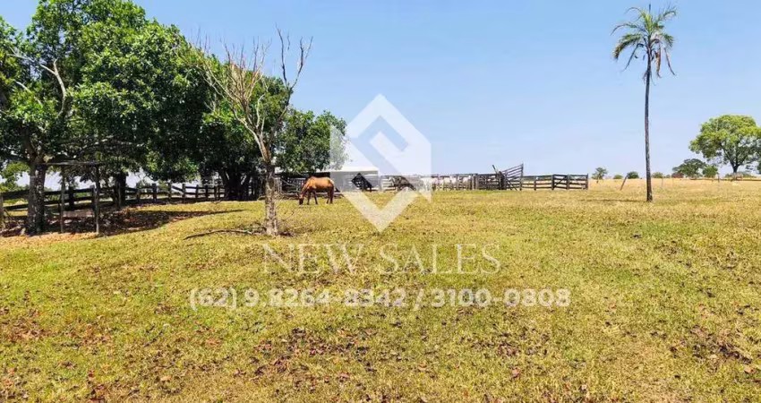 Terra de 19 alqueires em morro agudo-go! oferta de mercado!