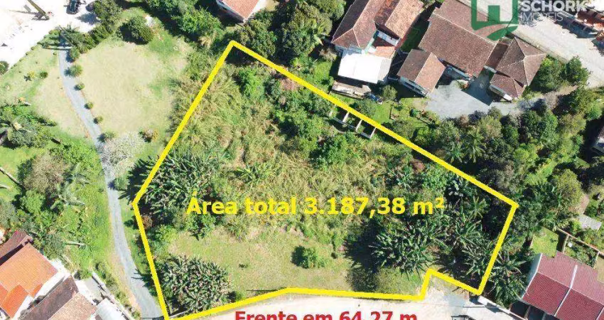 Terreno à venda, 3187 m² por r$ 2.500.000,00 - velha - blumenau/sc