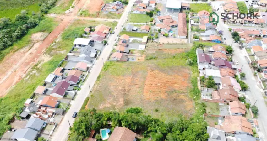 Terreno à venda, 5997 m² por r$ 1.200.000,00 - ribeirão das pedras - indaial/sc