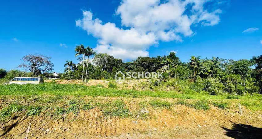 Terreno à venda, 4509 m² por r$ 4.000.000,00 - velha - blumenau/sc
