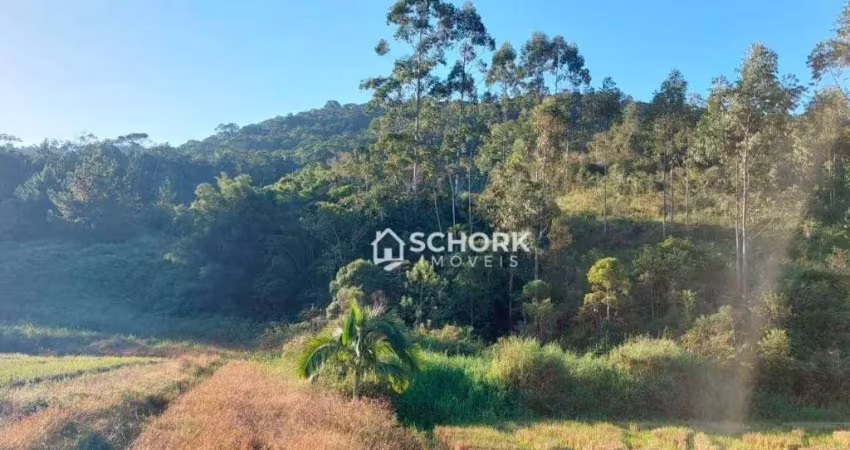 Sítio à venda, 167800 m² por r$ 1.100.000,00 - guaricanas ii - ascurra/sc