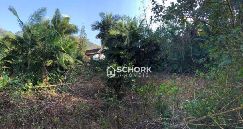 Terreno à venda, 3674 m² por R$ 729.000,00 - Fidélis - Blumenau/SC