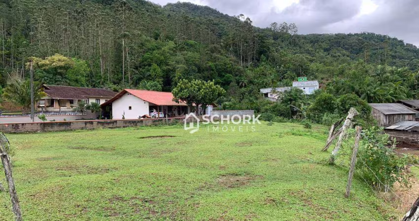 Terreno à venda, 1831 m² por R$ 120.000,00 - Ribeirão das Antas - Benedito Novo/SC