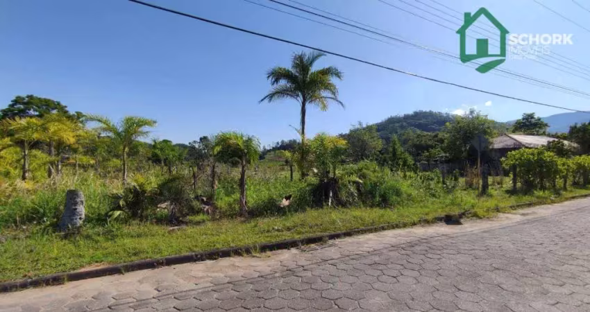 Terreno à venda, 594 m² por r$ 107.000,00 - são pedro velho - rodeio/sc