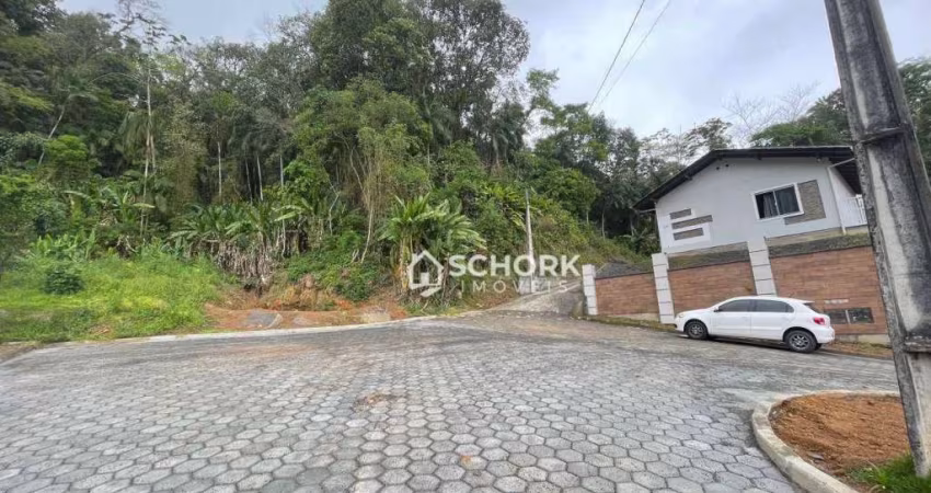 Terreno à venda, 58353 m² por R$ 80.000,00 - Centro - Benedito Novo/SC
