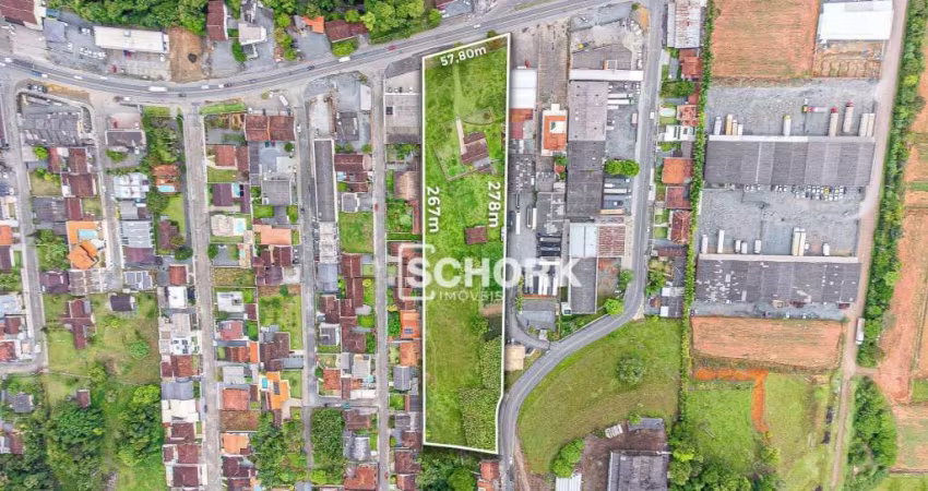 Terreno à venda, 13557 m² por R$ 11.500.000,00 - Itoupava Central - Blumenau/SC