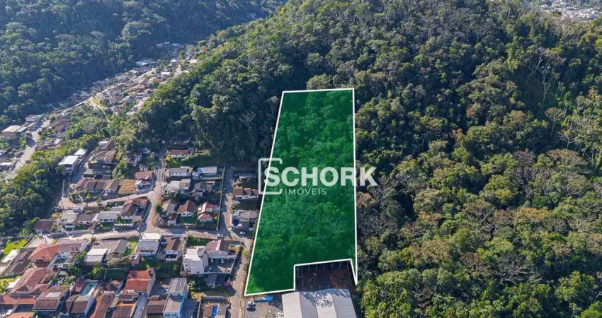 Terreno à venda, 10921 m² por r$ 1.000.000,00 - badenfurt - blumenau/sc
