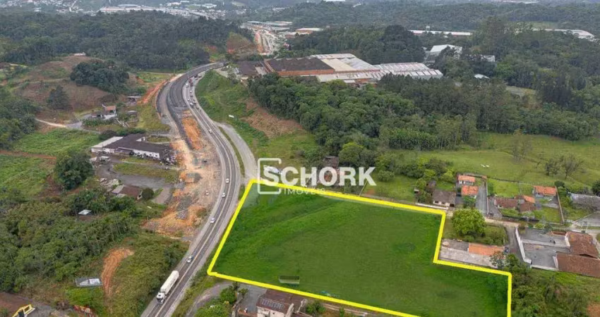 Terreno à venda, 9750 m² por r$ 9.000.000,00 - badenfurt - blumenau/sc