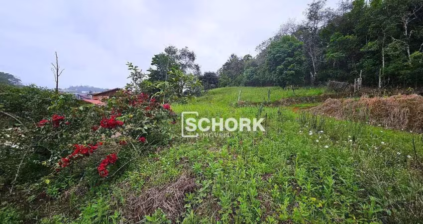Terreno à venda, 5655 m² por r$ 1.460.000,00 - rio morto - indaial/sc