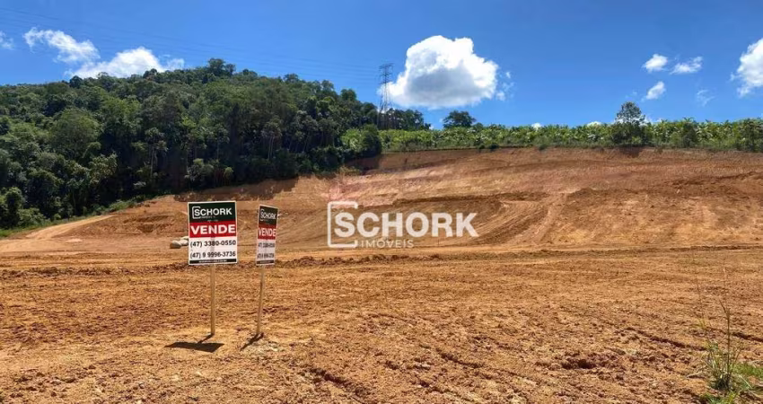 Terreno à venda, 2132 m² por R$ 773.726,42 - Estradinha - Indaial/SC