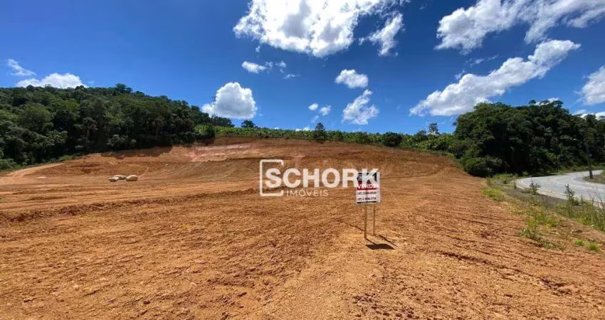 Terreno à venda, 2132 m² por r$ 773.726,42 - estradinha - indaial/sc
