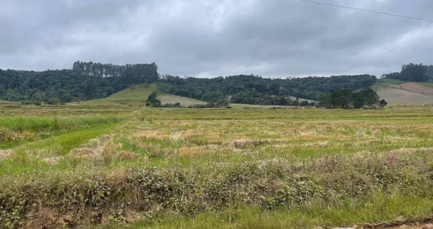 Terreno à venda, 115.237 m² por R$ 1.380.000 - Centro - Rio do Campo/SC
