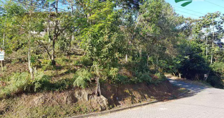Terreno à venda, 363 m² por r$ 250.000,00 - ponta aguda - blumenau/sc