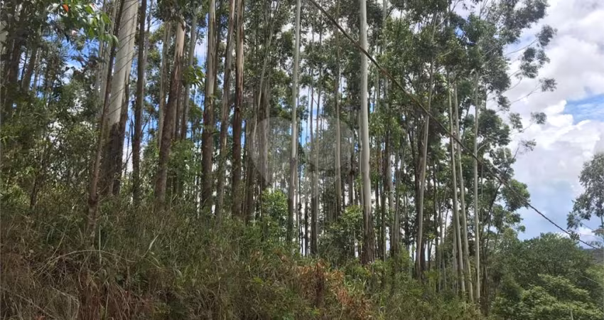 Terreno à venda em Jardim Santa Gertrudes - SP